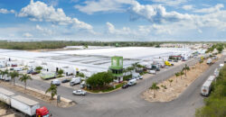 Bodega Diamante 68 de 300 m² – Nueva