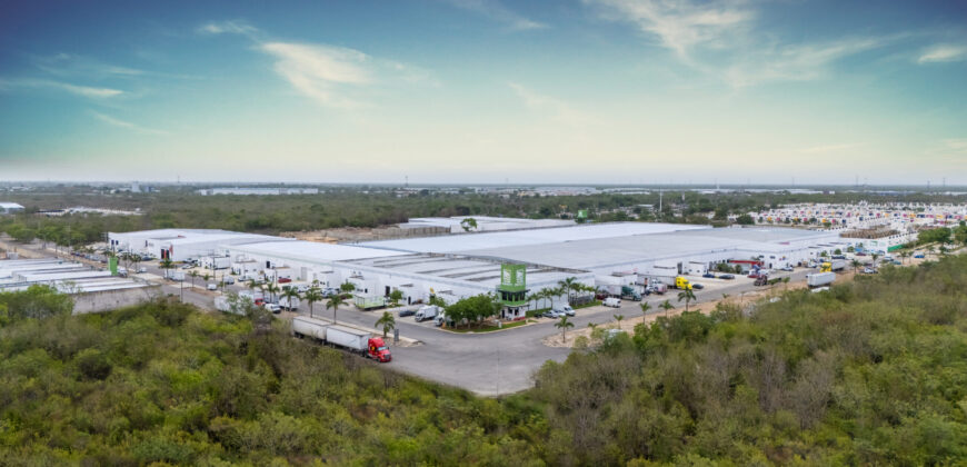 Bodega Diamante 68 de 300 m² – Nueva
