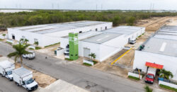Bodega Diamante 68 de 300 m² – Nueva