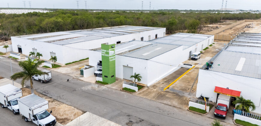 Bodega Diamante 68 de 300 m² – Nueva