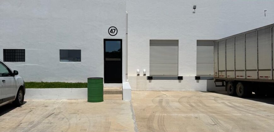 Bodega Diamante 47 de 977 m² – Nueva