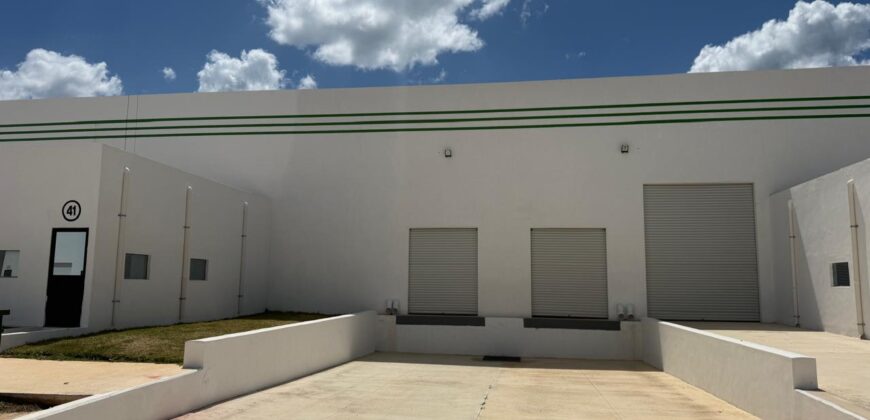 Bodega Diamante 41 de 741 m² – Nueva