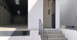 Bodega Diamante 72 de 292.5 m² – Nueva