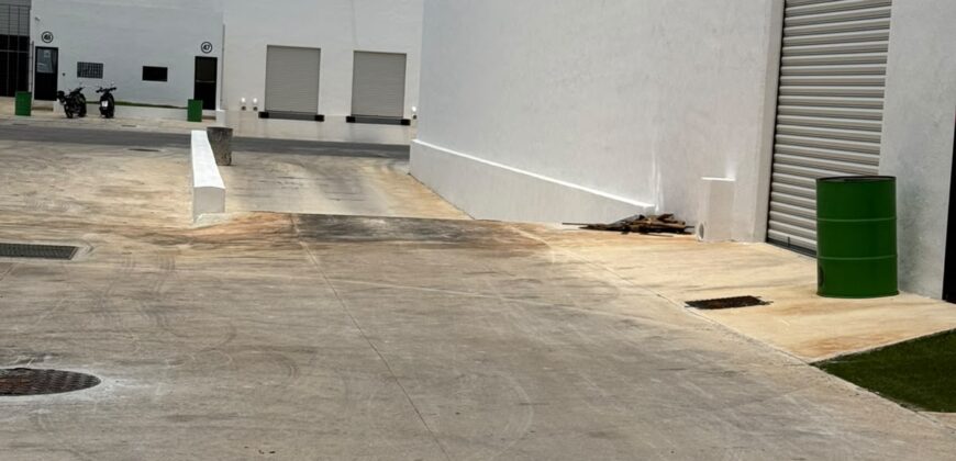 Bodega Diamante 66 de 236 m² – Nueva