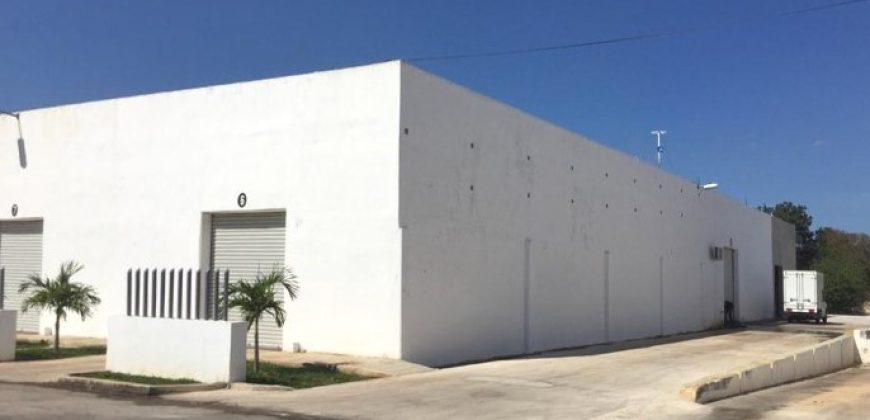 Bodega Diamante 66 de 236 m² – Nueva
