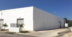 Bodega Diamante 68 de 300 m² – Nueva