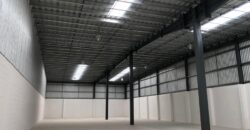 Bodega Diamante 42 de 995 m² – Nueva